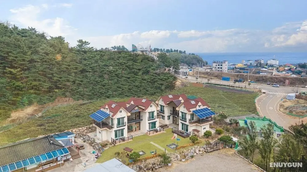 Samcheok Bongsuni-unni Pension - Dış Mekan