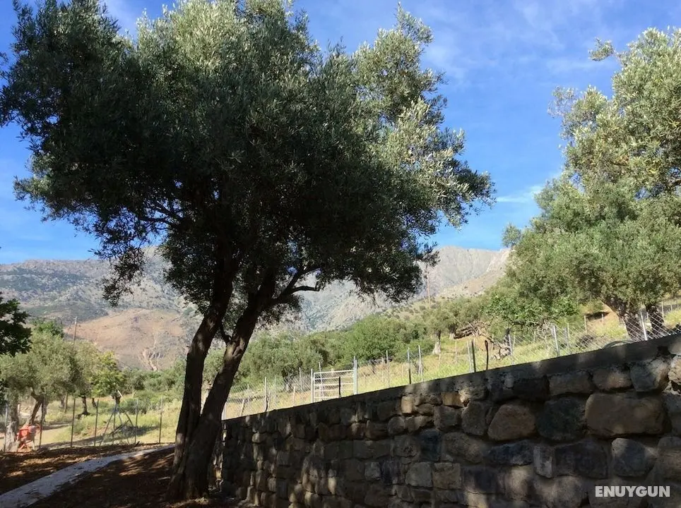 Samothraki Suites Kalisti - İç Mekan