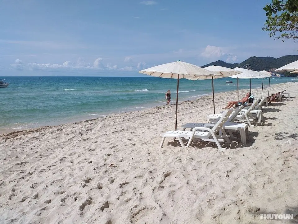 Samui Green Hotel - Öne Çıkan Resim
