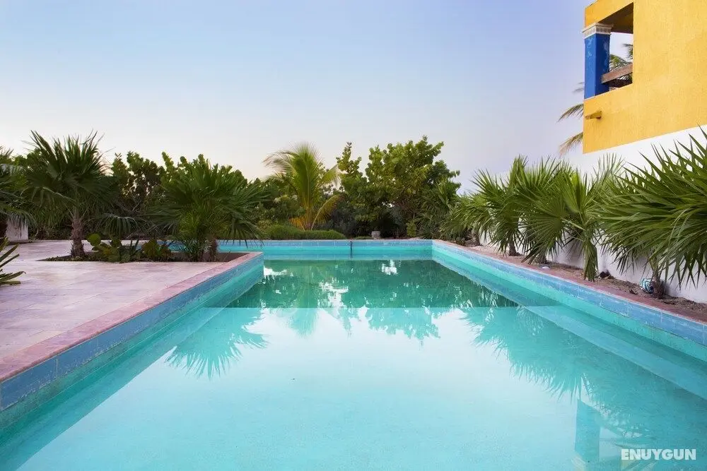 San Bruno Tropical Villa with Pool - Havuz