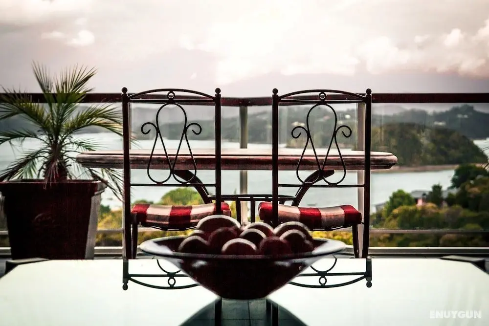 Sanctuary Palms - Öne Çıkan Resim