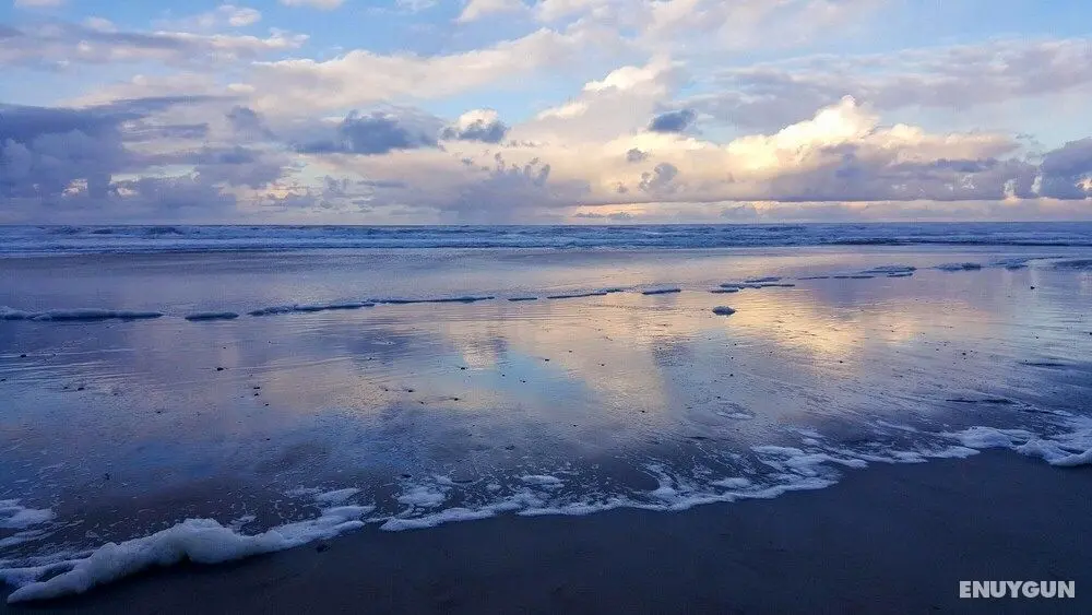 Sandpiper Cottage - Waldport - Plaj