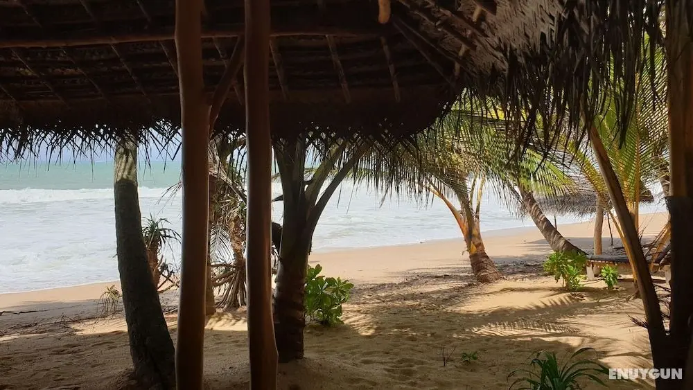 Sandy Sri Lanka - Öne Çıkan Resim