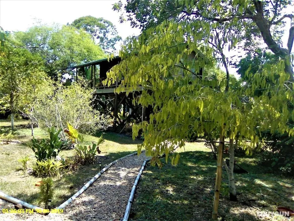 Sanpopo Tree Top Cottage - A Gold Standard Tourism Approved Tree Top Home - Öne Çıkan Resim