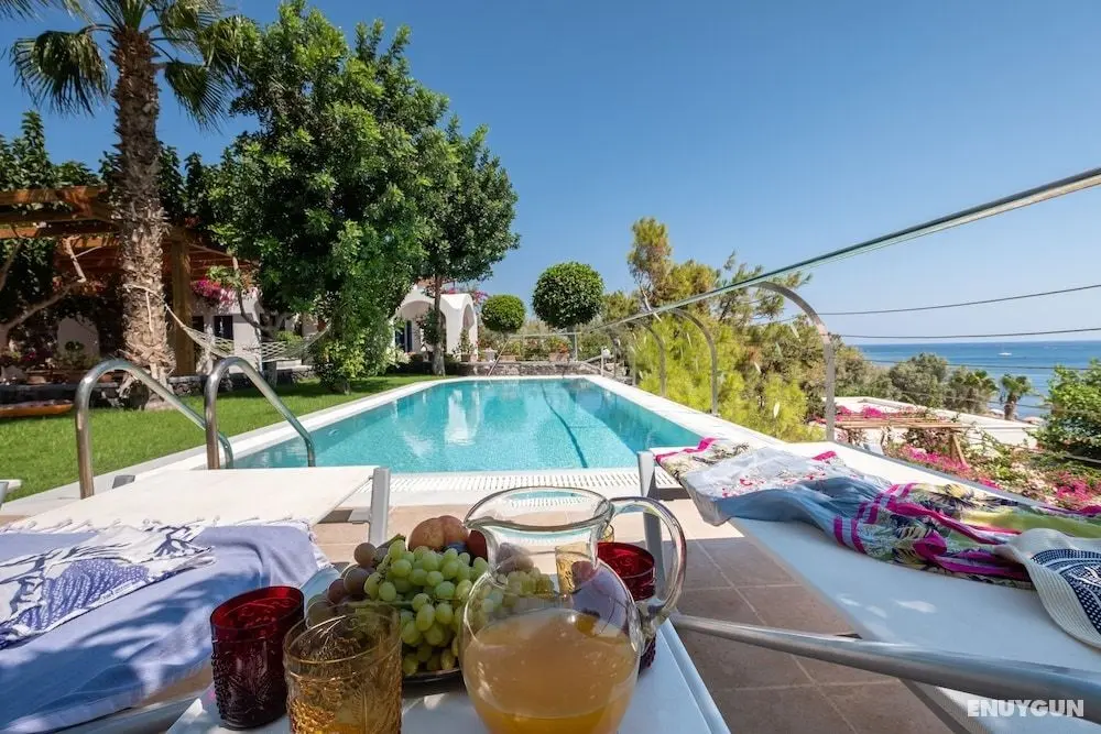 Santorini Mystique Garden - Öne Çıkan Resim