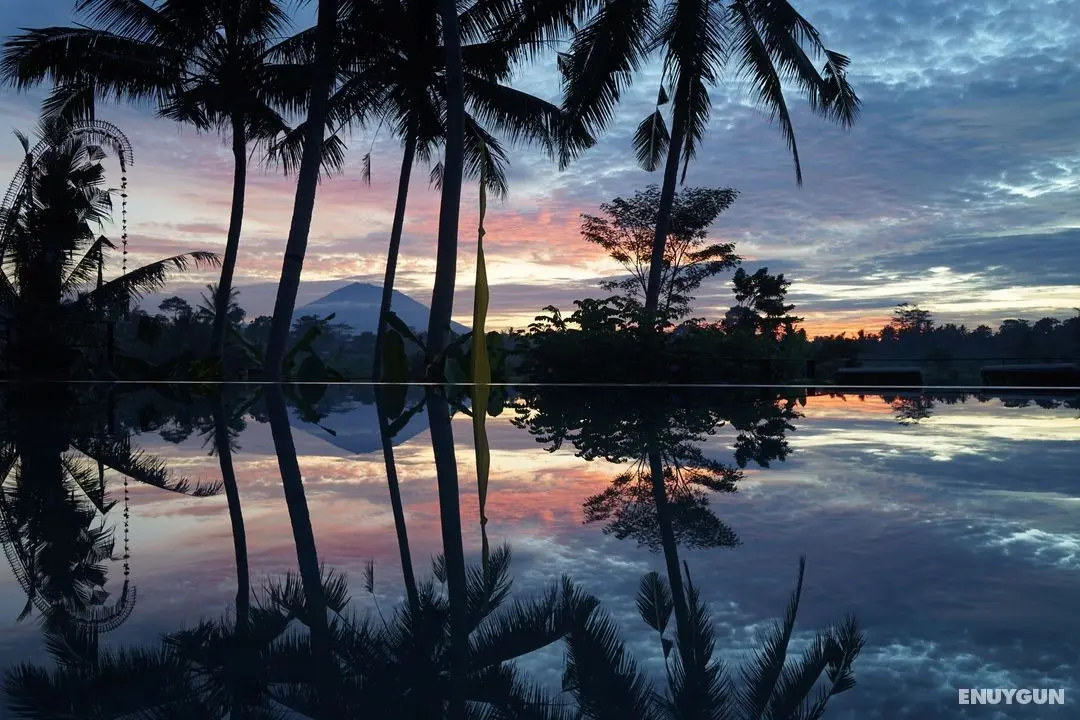 Villa Santun Ubud - Öne Çıkan Resim