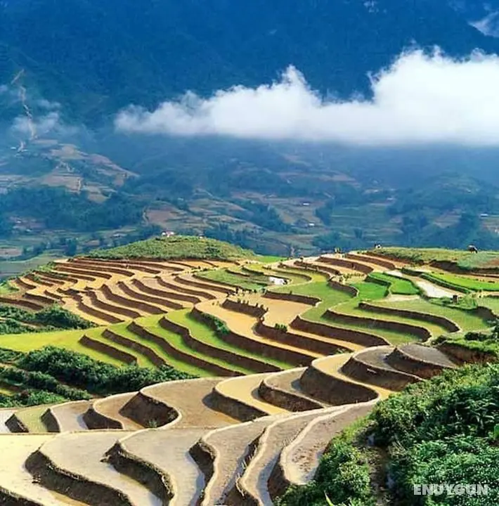 Sapa Homestay Trekking Tour For Backpackers - Öne Çıkan Resim