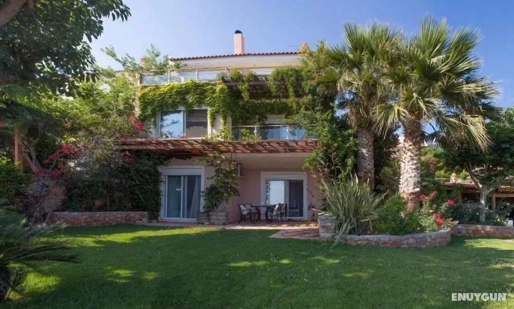 Sapphire Mansion - Öne Çıkan Resim