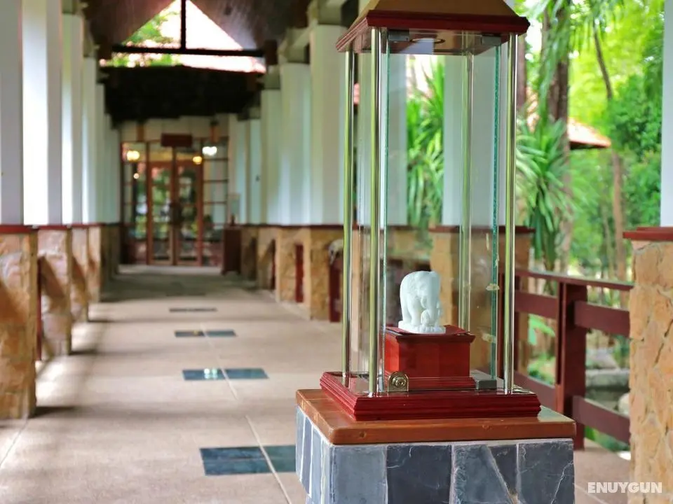 Sappraiwan Elephant Resort & Sanctuary - Genel