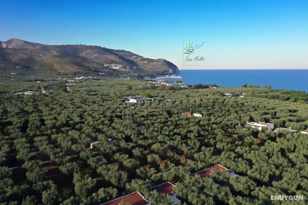 Saracena Superior Holiday Home With Swimming Pool and Private Beach - Dış Mekan