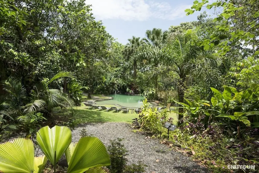 Sarapiquis Rainforest Lodge - Aktiviteler