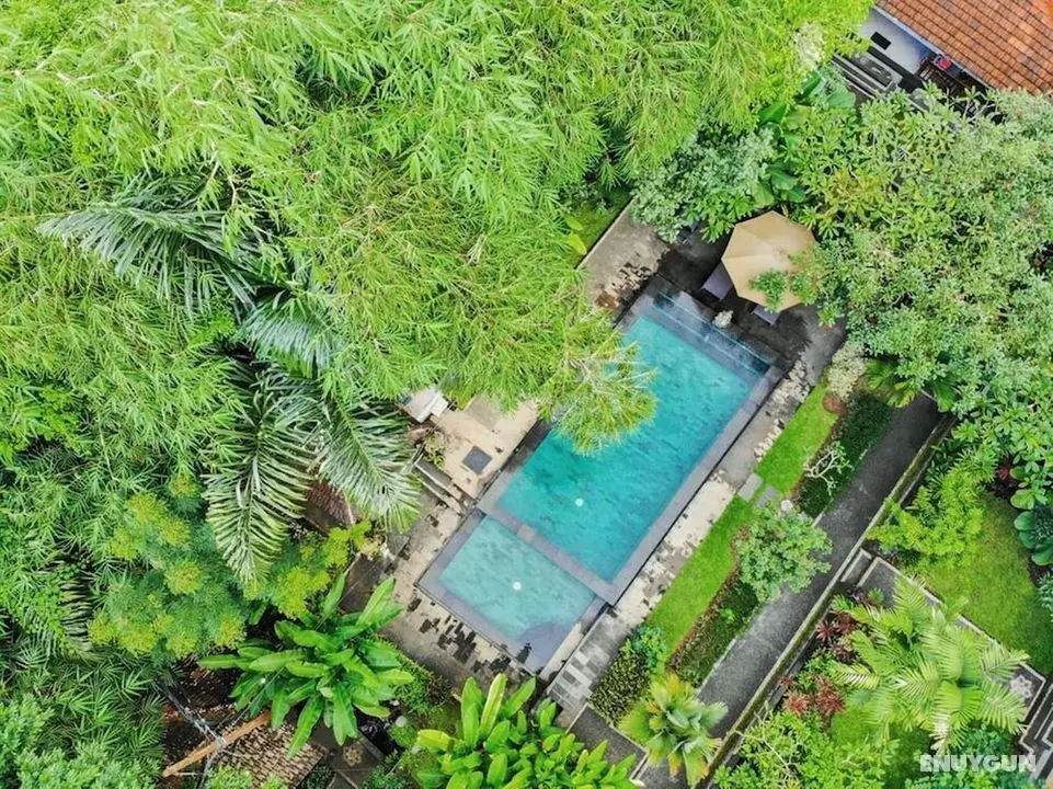 Sari Bamboo Villas - Öne Çıkan Resim