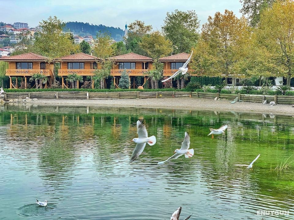 SASA Harmanlık