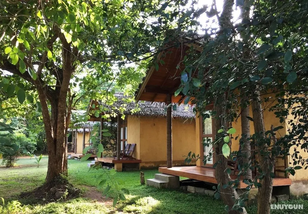 Sat Nam Village Eco-Hotel - Oda Düzeni