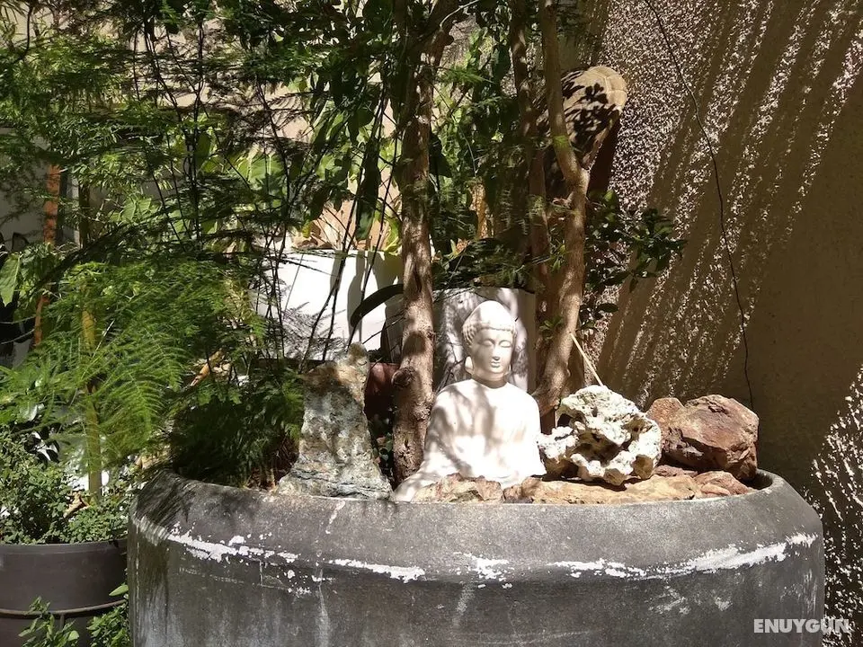 Satori House - Öne Çıkan Resim