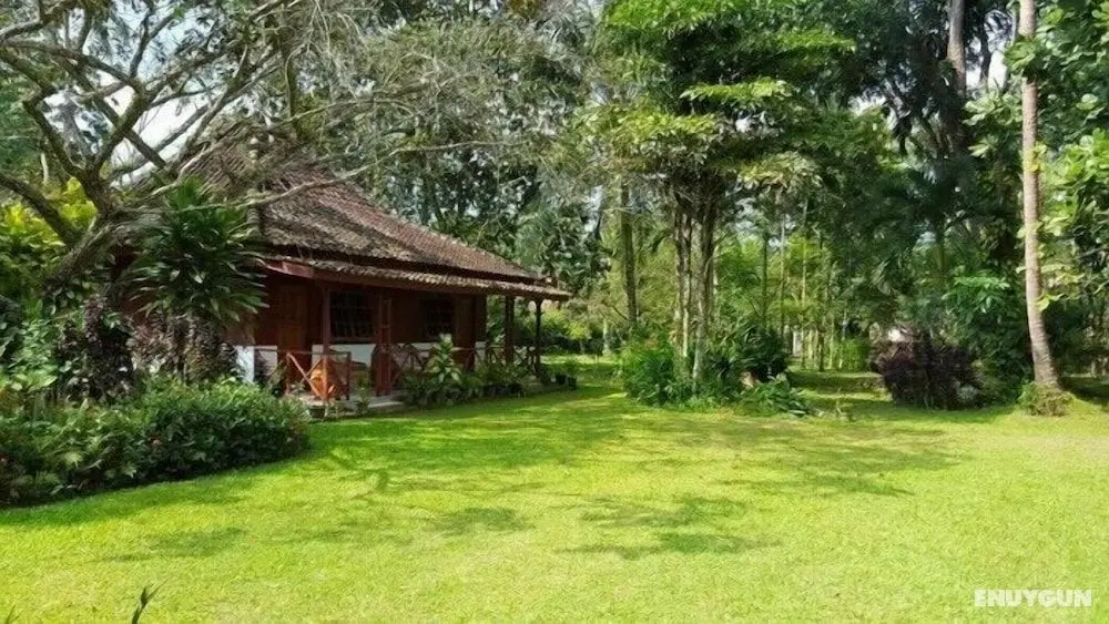 The Satwa Elephant Ecolodge - Konum Öne Çıkanlar