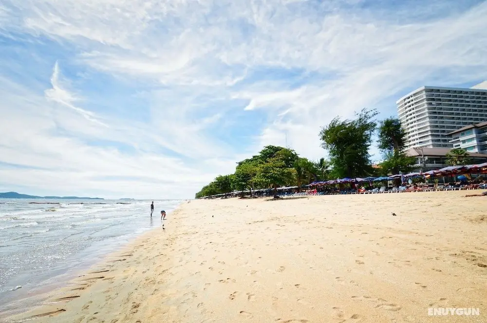 Scandia Beach Hostel - Plaj