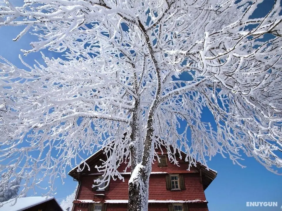 Scenic Holiday Home in Kandergrund With Altels View - Konum Öne Çıkanlar
