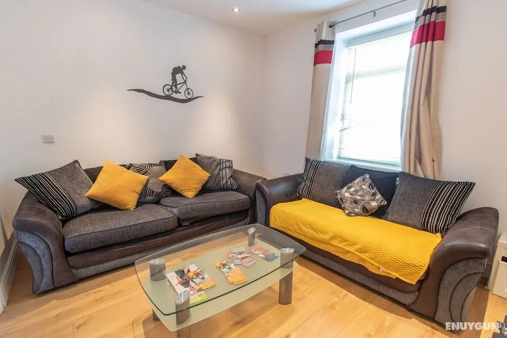 Scenic Roots - Öne Çıkan Resim