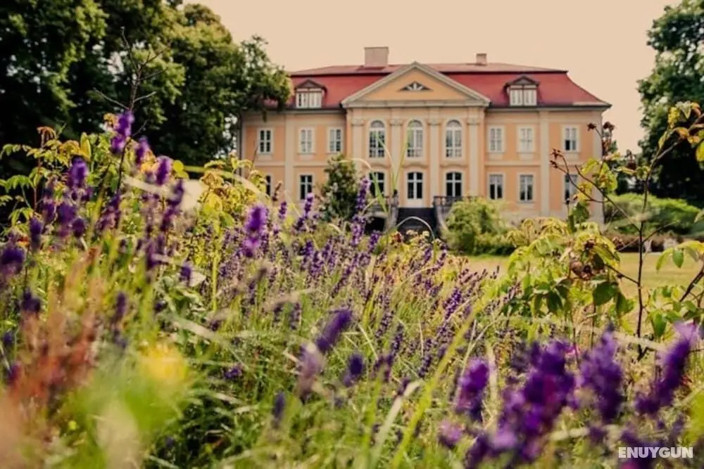 Schloss Stülpe - Dış Mekanlar
