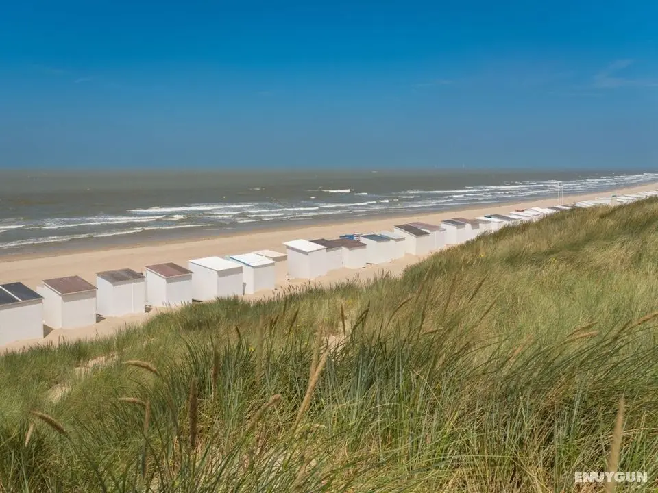 Sea Breeze Bredene in Bredene - Oda
