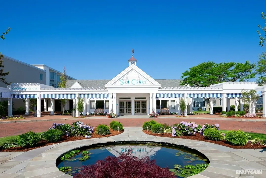 Sea Crest Beach Hotel - Genel