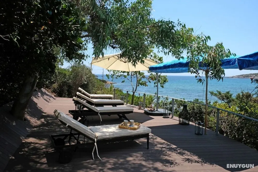 Sea front Athena Sounion Apartment - Öne Çıkan Resim