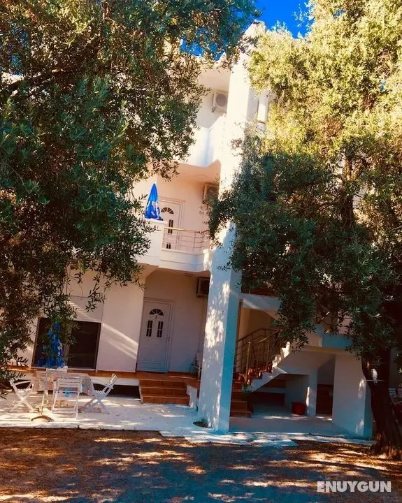 Sea Star Apartments - Öne Çıkan Resim