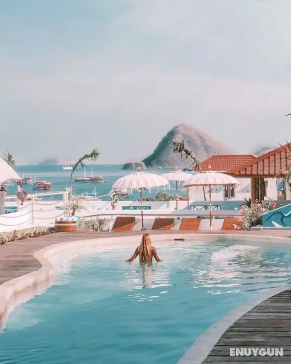 Seaesta Komodo - Hostel - Öne Çıkan Resim