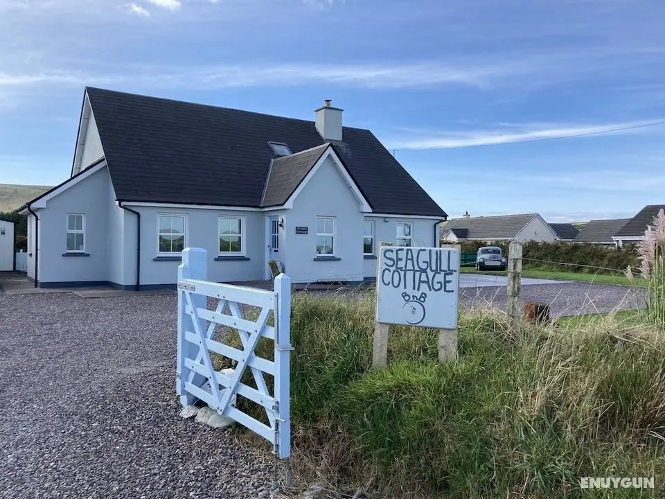 Seagull Cottage B&B - Öne Çıkan Resim