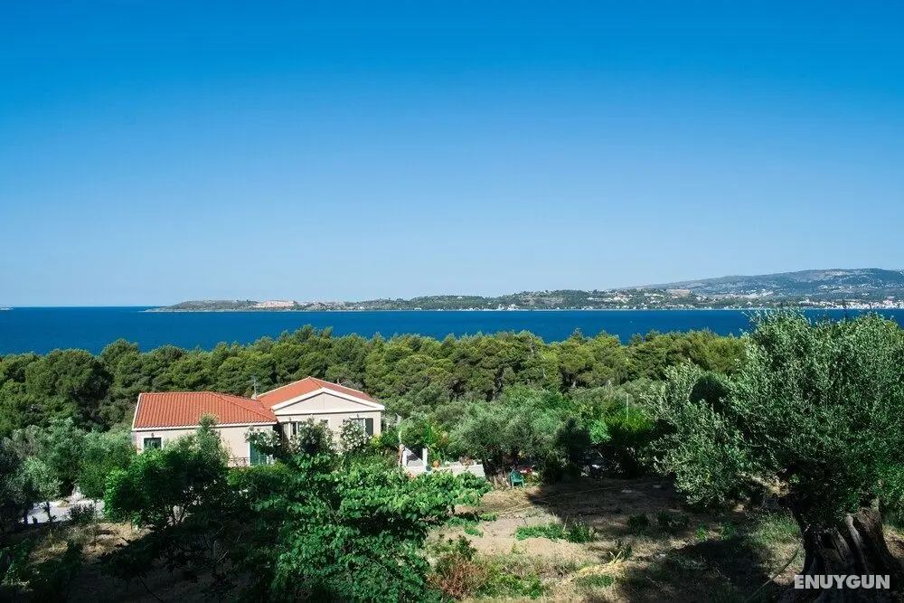 Seapine Studios - Dış Mekan