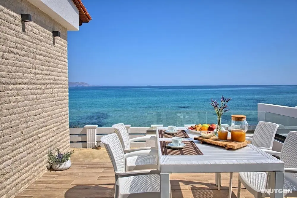 Seashell Suite by the Sea - Öne Çıkan Resim