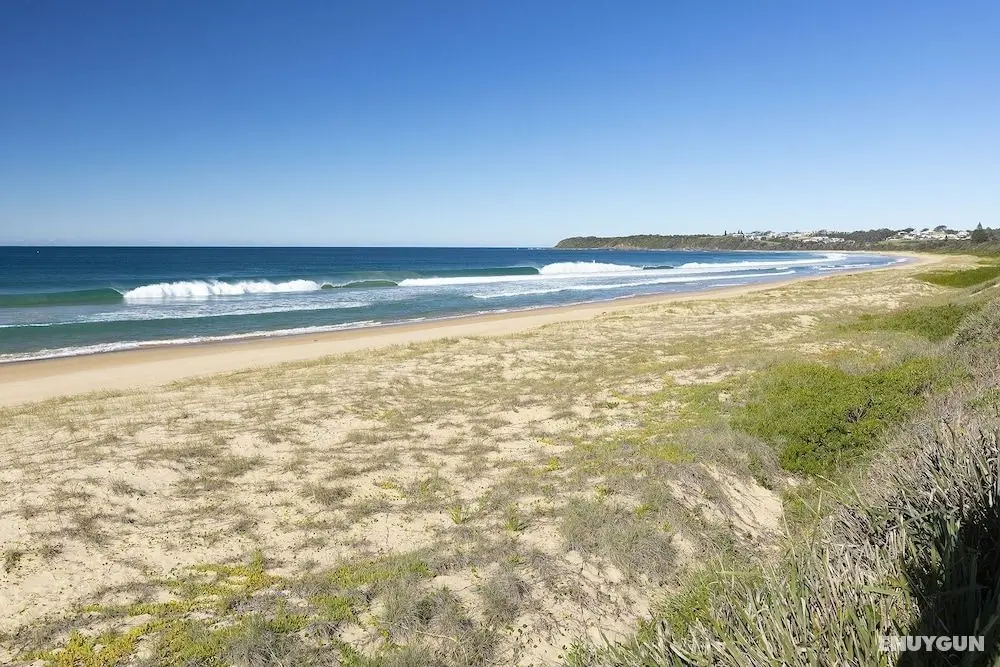 Seashells Beachfront Resort - Öne Çıkan Resim