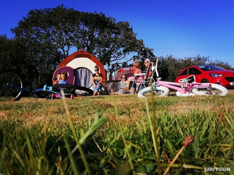 Secluded Meadow, Unique Shire Hut, Perfect Camping - Öne Çıkan Resim