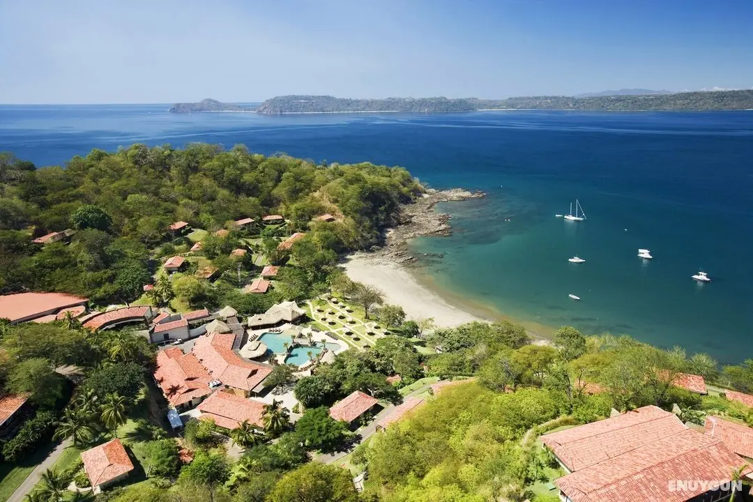 Secrets Papagayo - Genel