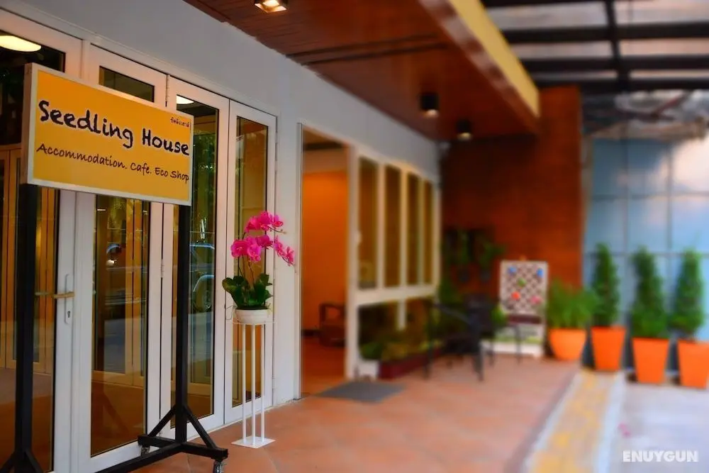 Seedling House - Öne Çıkan Resim