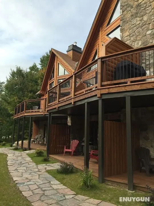 Selenia Lodge - Öne Çıkan Resim