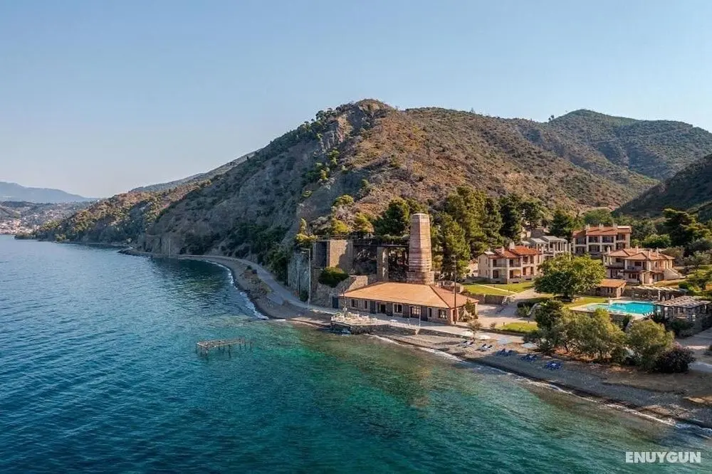 Selina Kaminos Evia - Öne Çıkan Resim