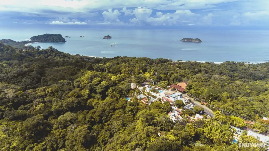 Selina Manuel Antonio - Genel