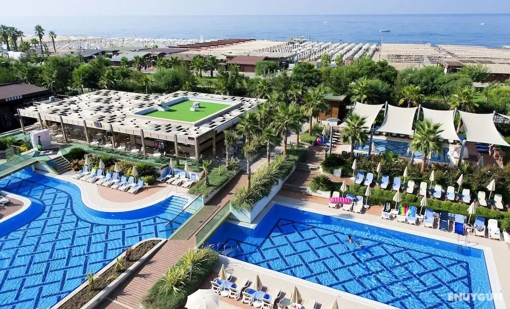 Trendy Verbena Beach