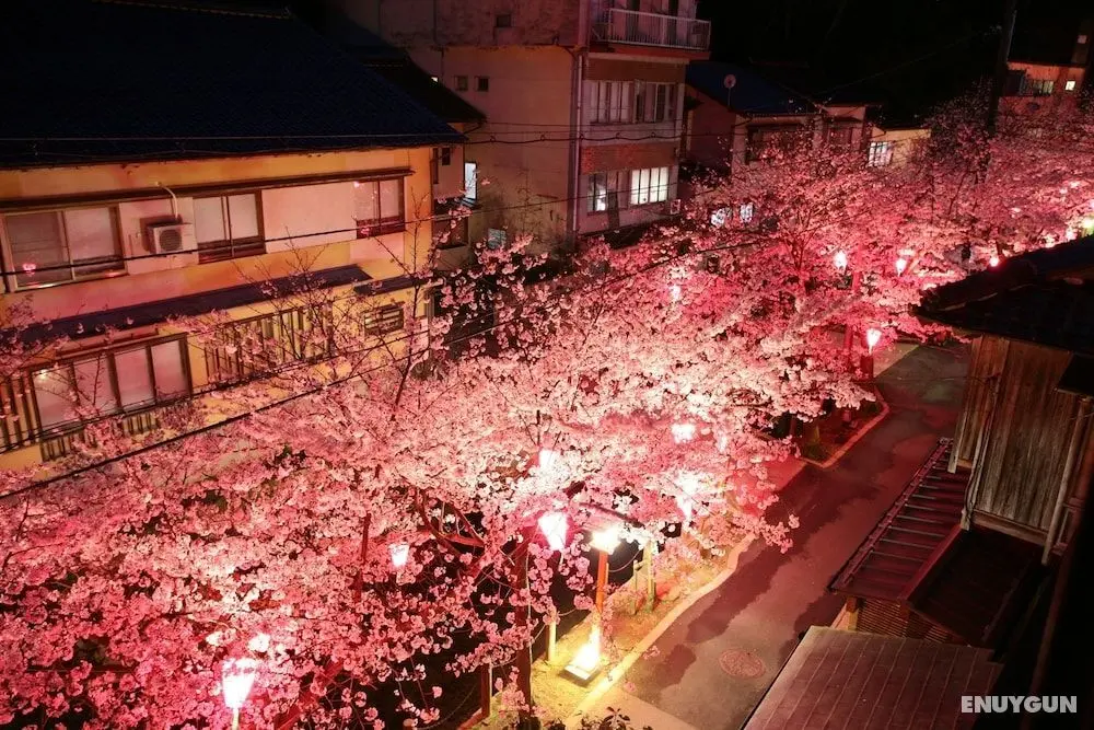 Sento Ryokan - Dış Mekan
