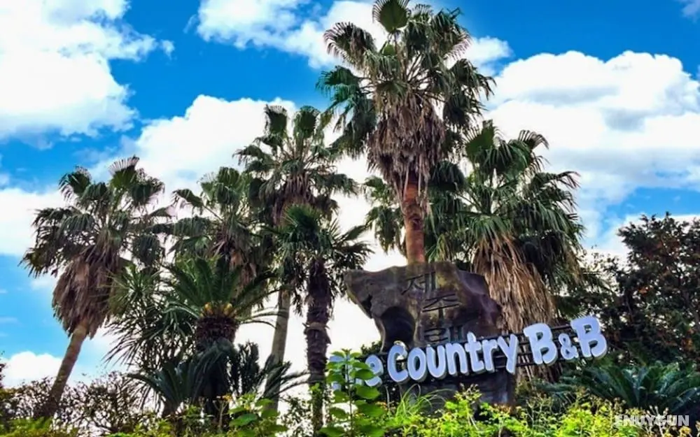 Seoguipo The Country B&B Pension - Öne Çıkan Resim