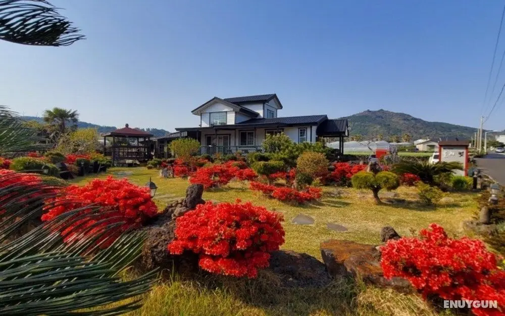 Seoguipo Ollebeot Pension & Guesthouse - Öne Çıkan Resim