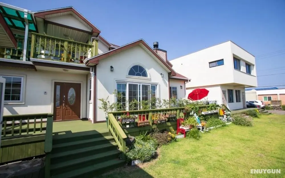 Seogwipo Daejeong Pension - Öne Çıkan Resim