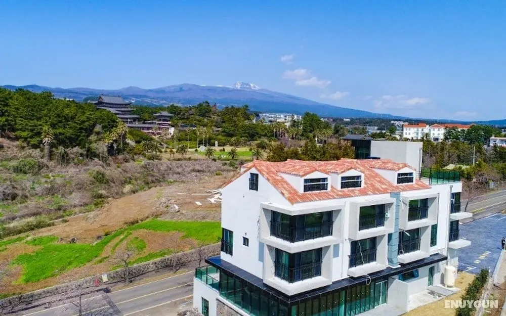 Seogwipo Hawonga Pension - Misafir Tesisleri ve Hizmetleri