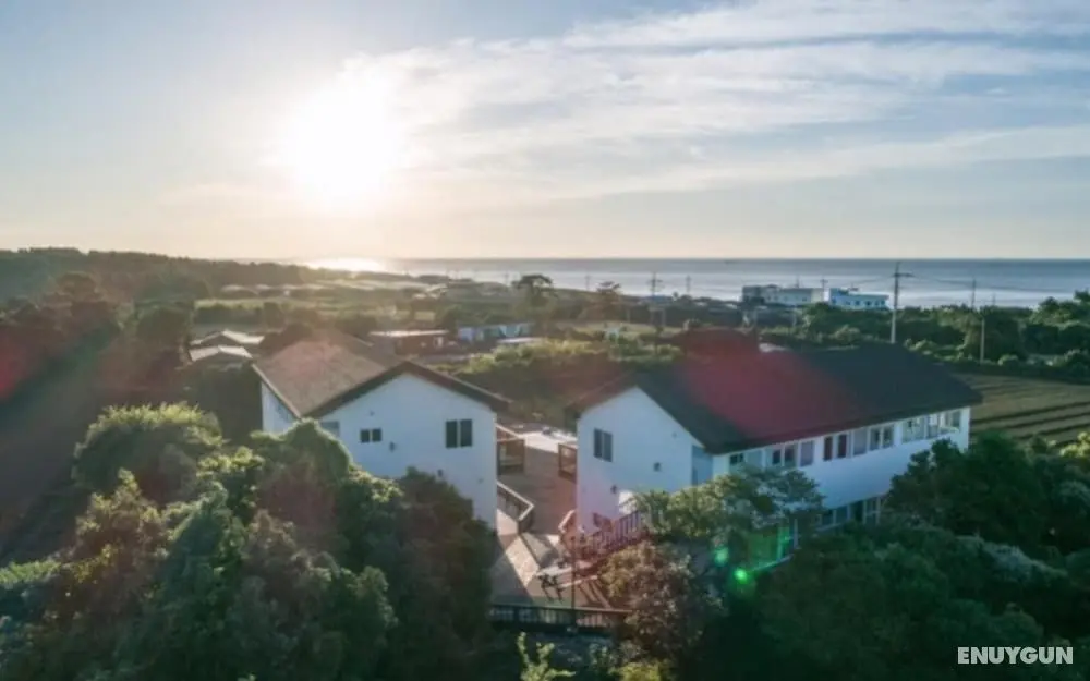 Seogwipo Ilhae Pension - Öne Çıkan Resim