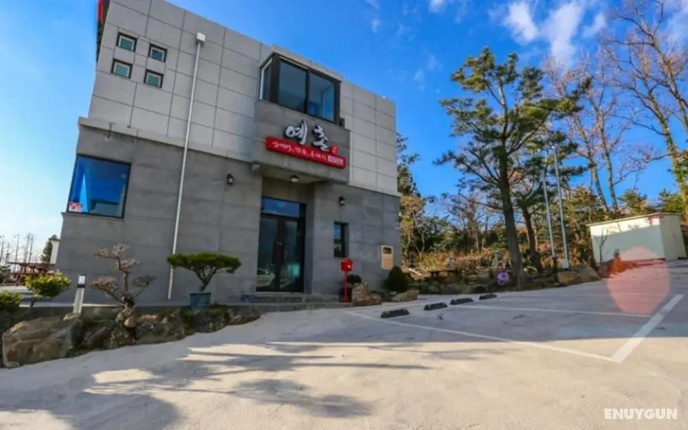 Seogwipo Jungmun Yechon Pension - Öne Çıkan Resim