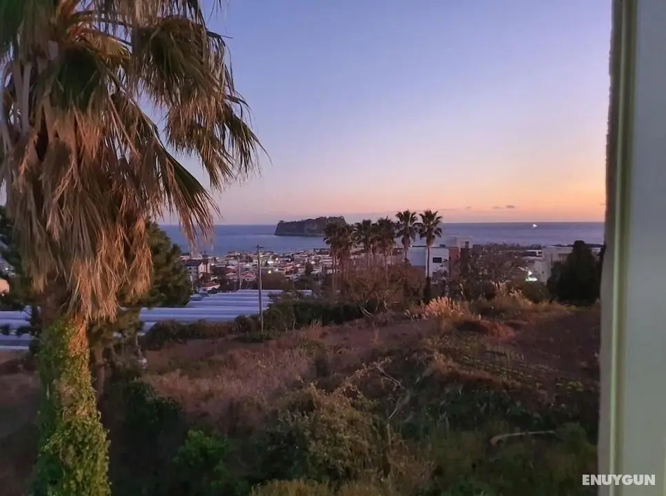 Seogwipo Livingstone Pension - Dış Mekan