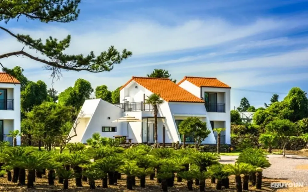 Seogwipo Naple Unshared House Pension - Öne Çıkan Resim