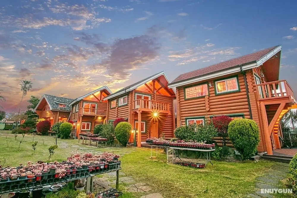 Seogwipo Neulbada Pet Pension - Dış Mekan